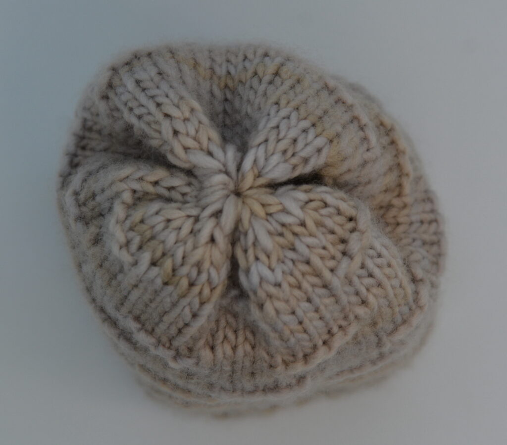 crown of the knitted baby beanie The crown of the knitted baby beanie